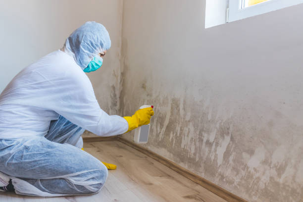 Mold Remediation specialist working in Oak Ridge